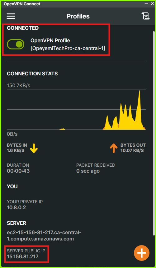 OpenVPN Client Connected to the VPN