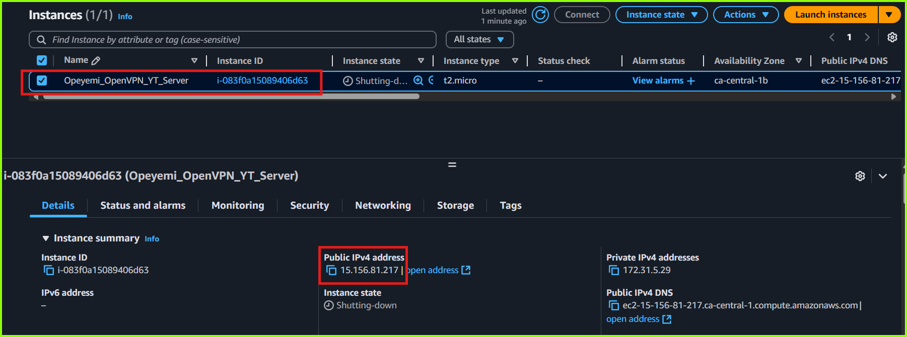 AWS Console Showing the OpenVPN Server details